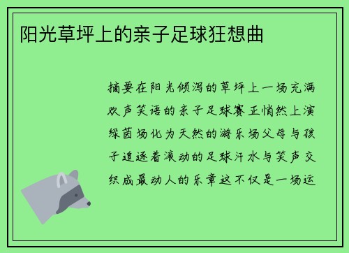 阳光草坪上的亲子足球狂想曲