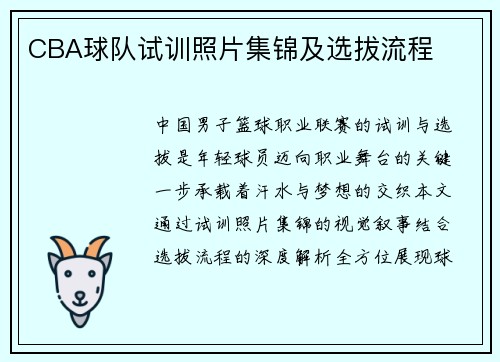 CBA球队试训照片集锦及选拔流程
