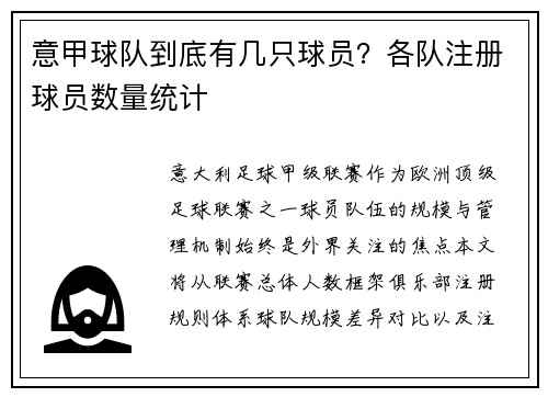 意甲球队到底有几只球员？各队注册球员数量统计